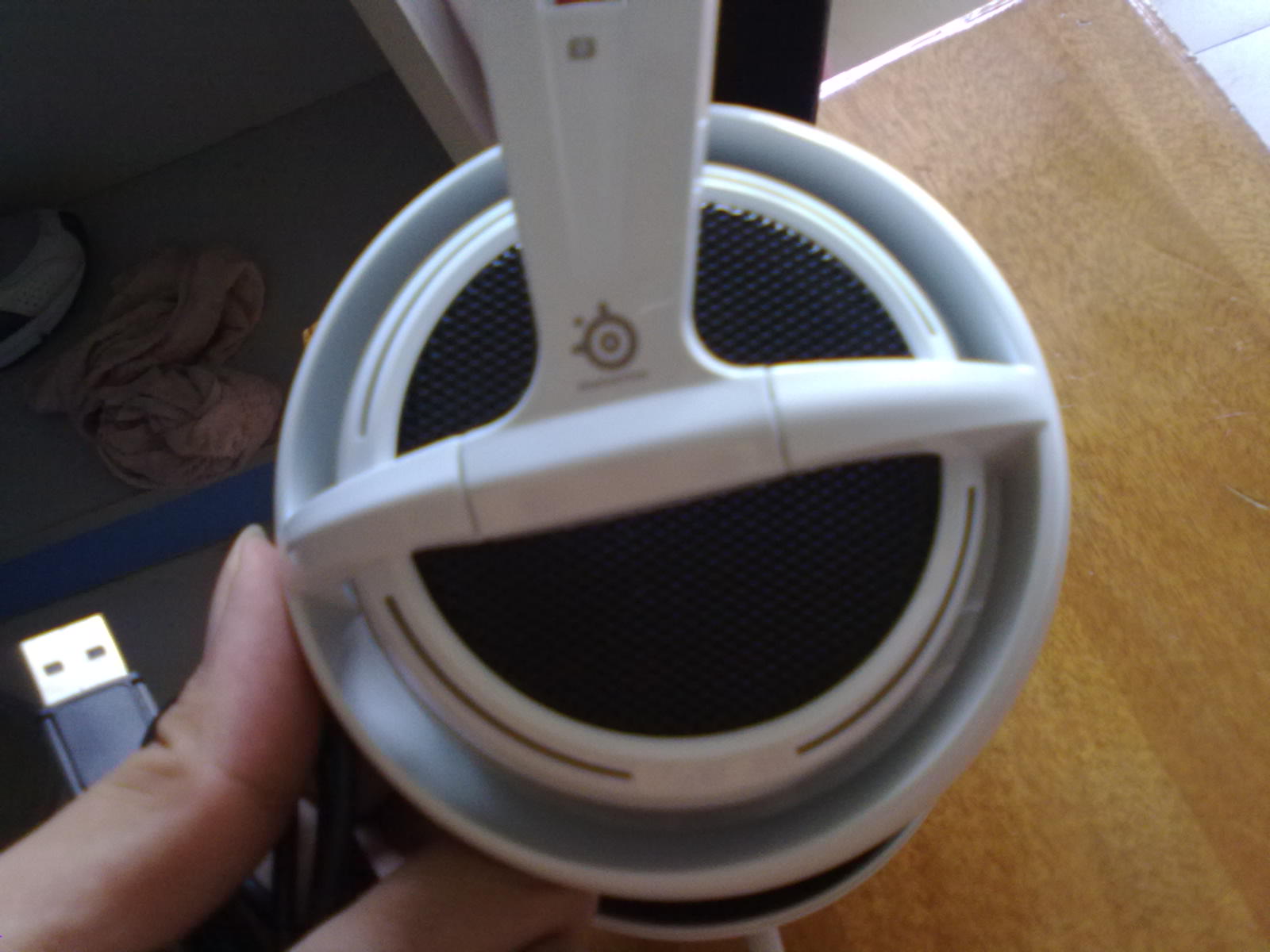 20100918492.jpg