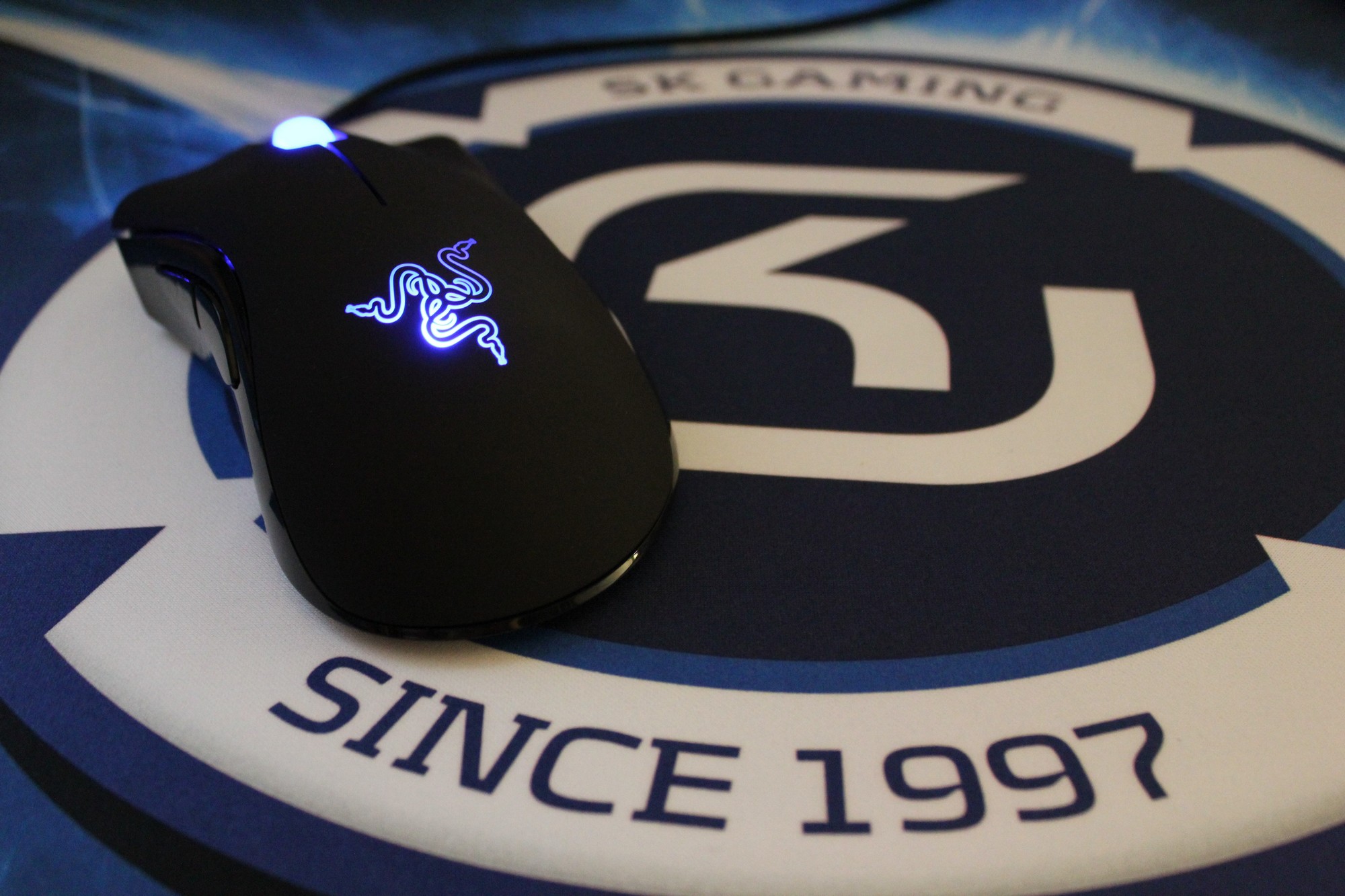 2010.10.10 Special Memory:Steelseries Qck+ SK Gaming