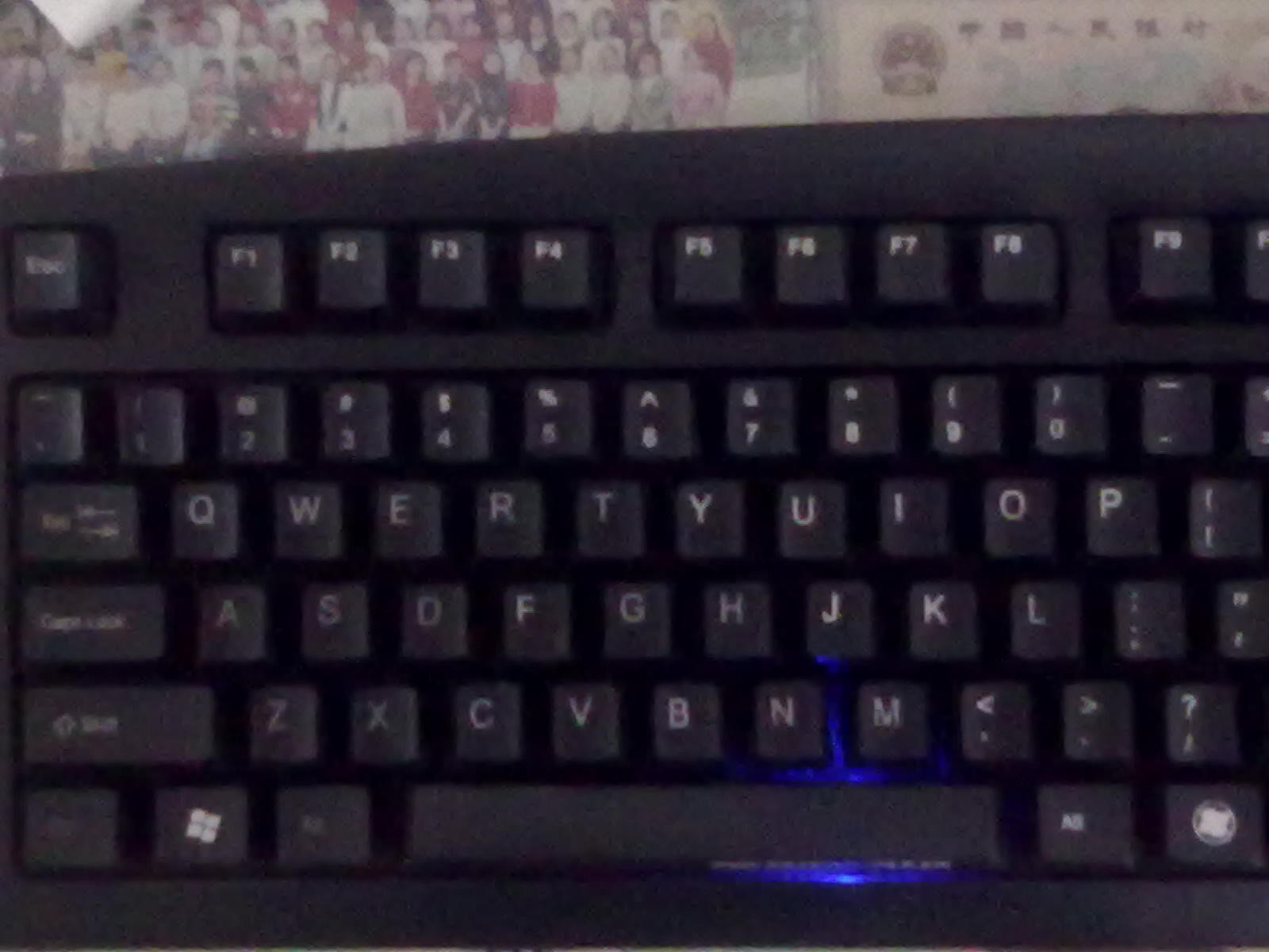 20101016062.jpg