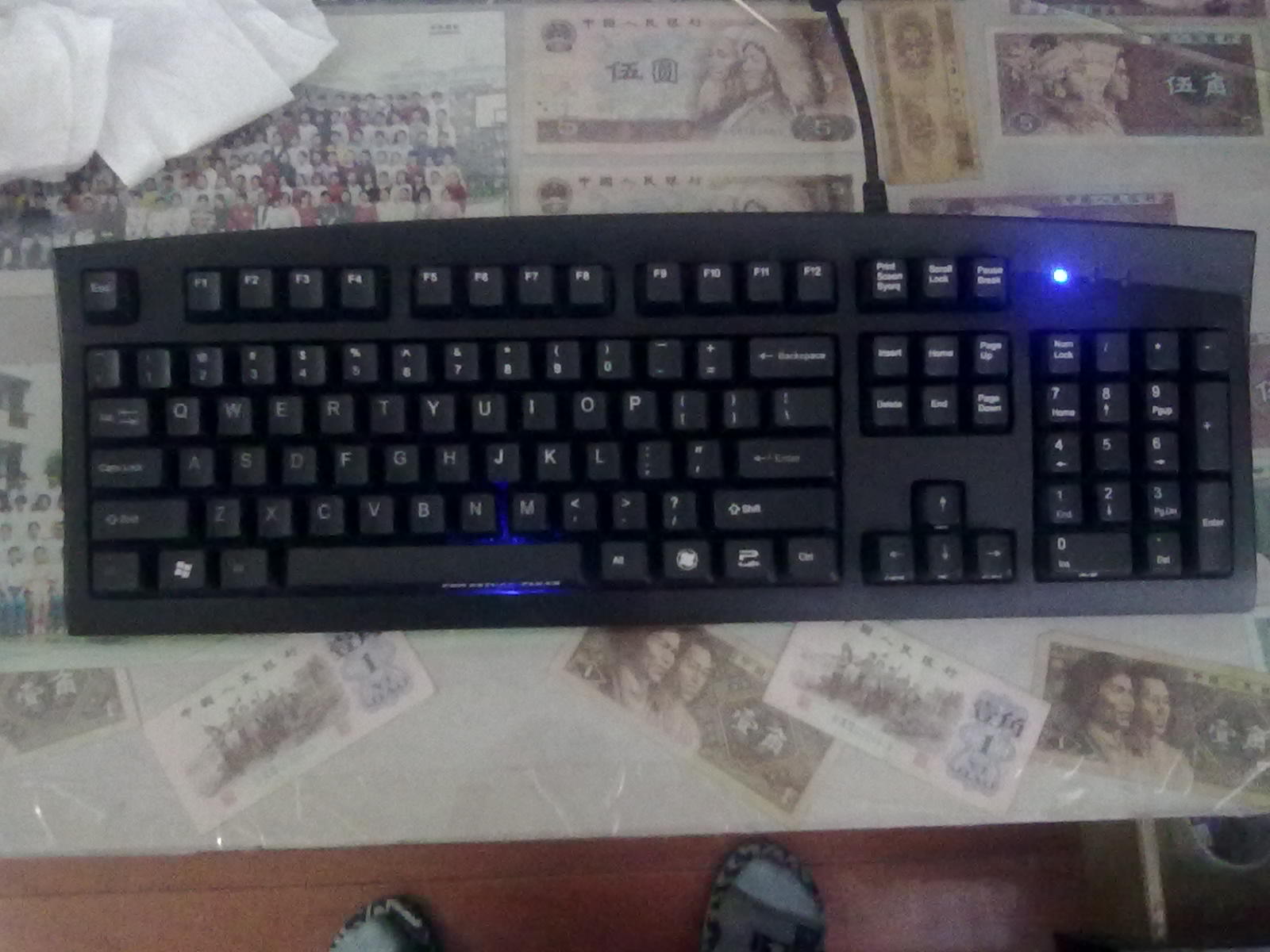 20101016061.jpg