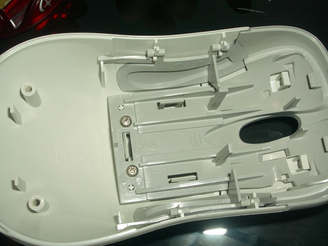 IMGP4803.JPG