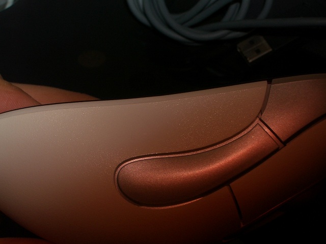 IMGP4796.JPG