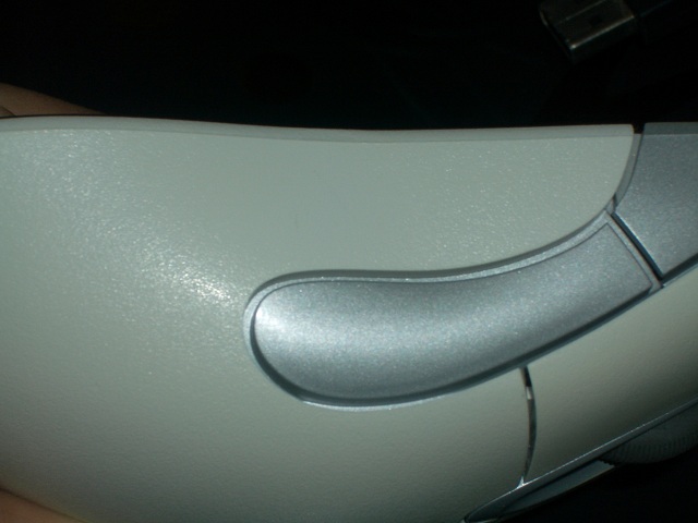 IMGP4797.JPG