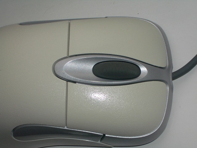 IMGP4793.JPG