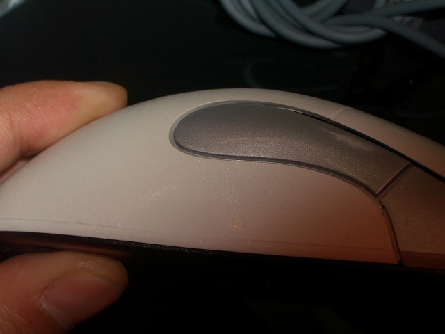 IMGP4795.JPG