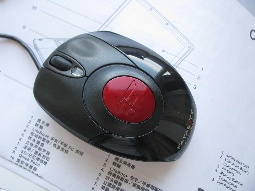 ��faintle���׳���fatal1ty 1010�����н�