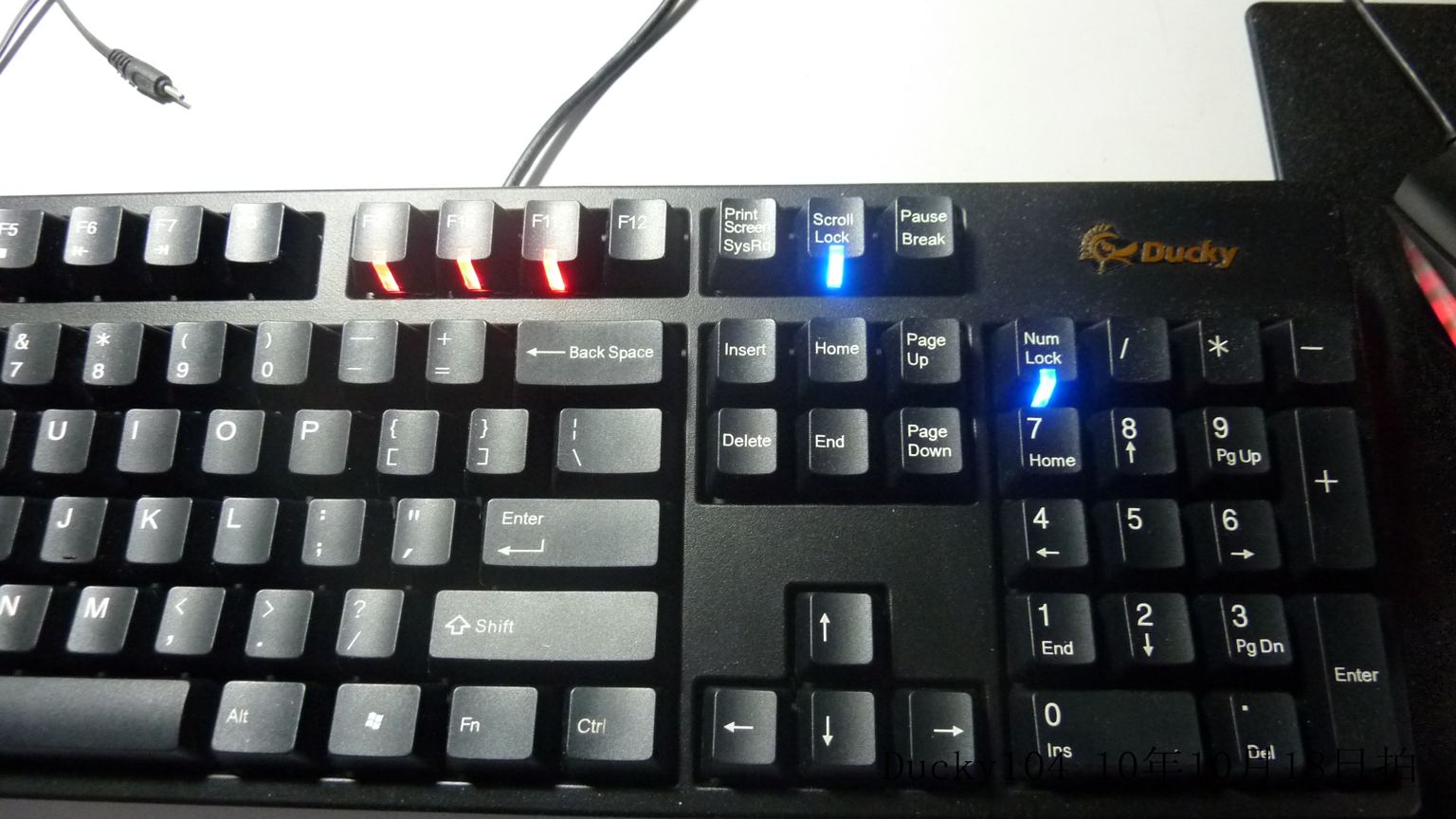 P1000611.jpg