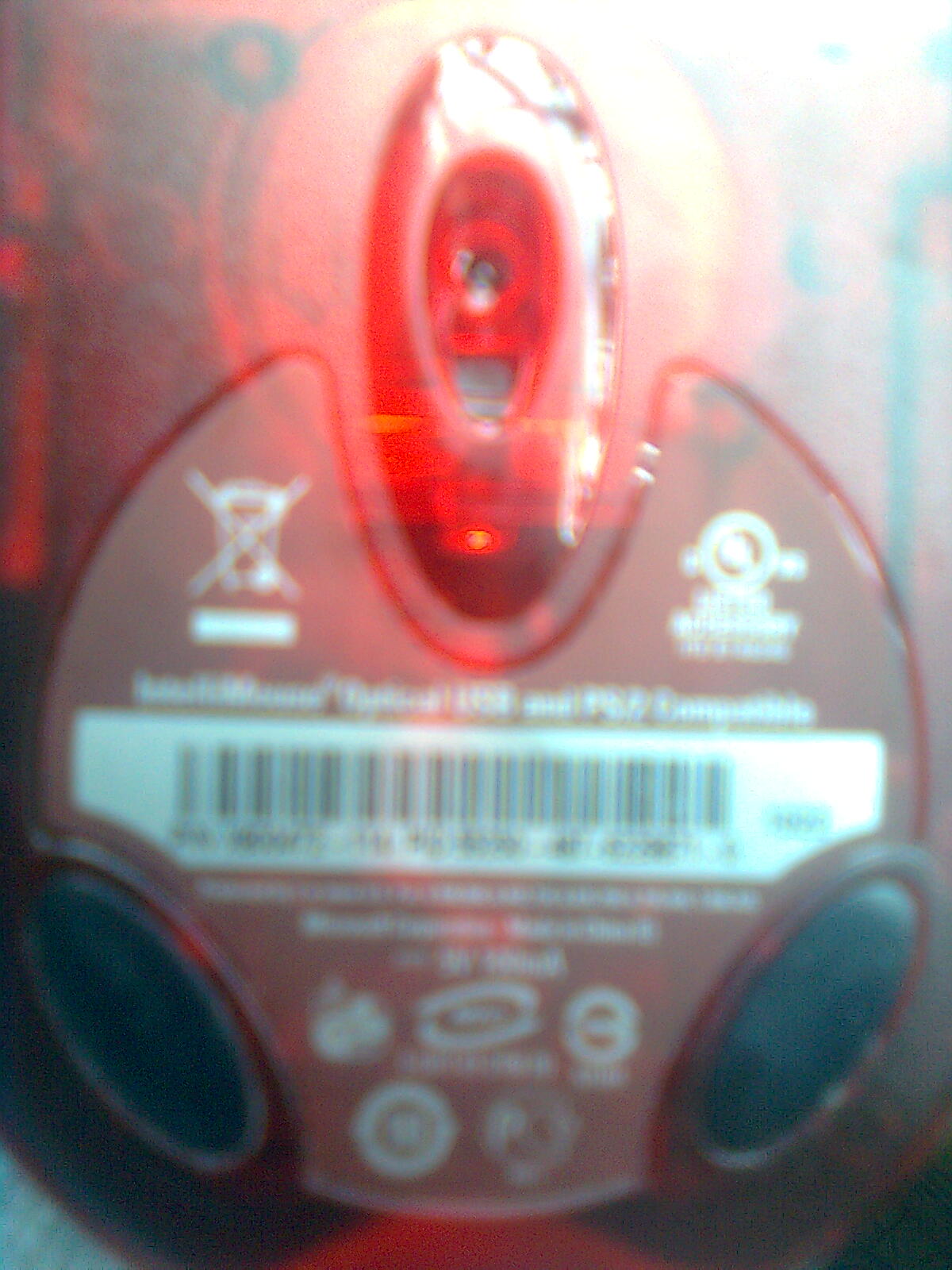 ͼ��0117.jpg