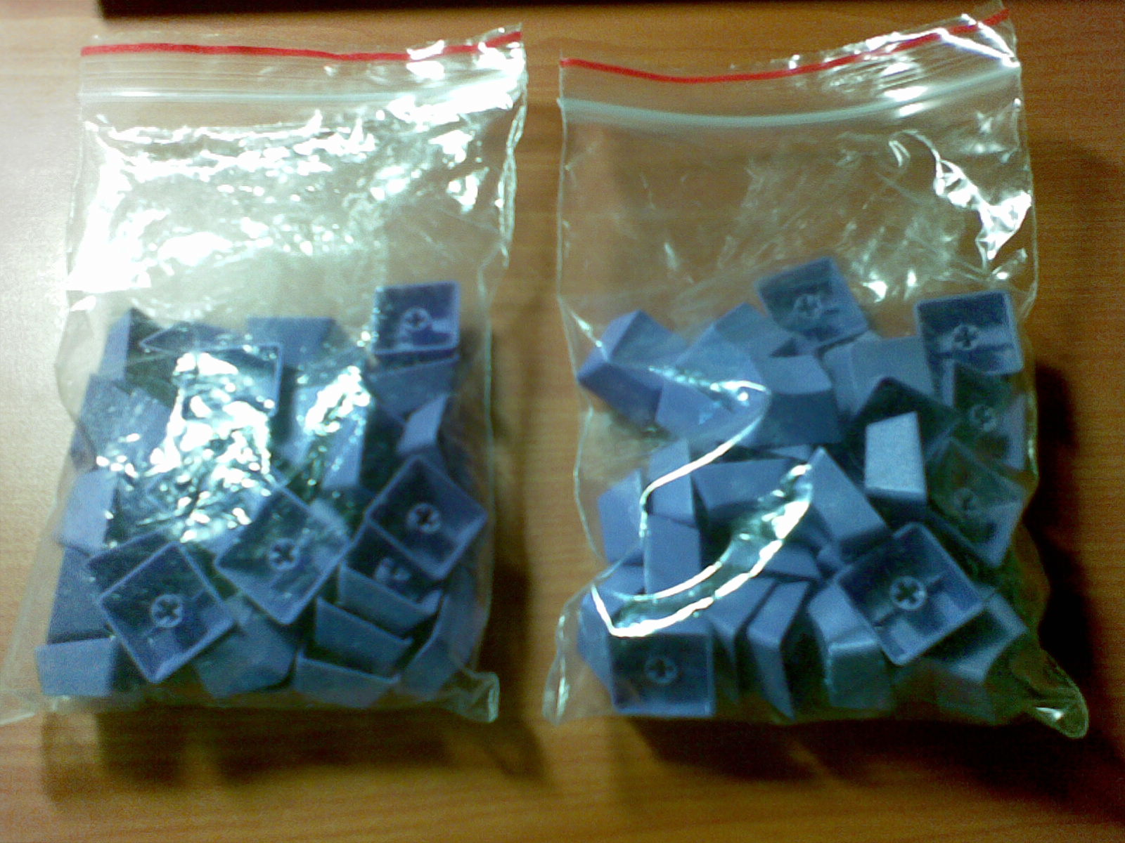 20101021_002.jpg