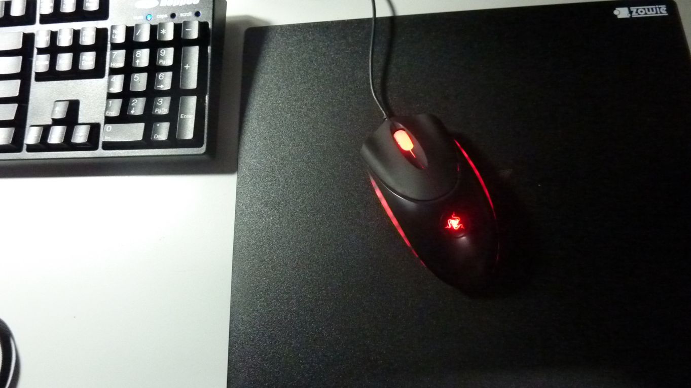 P1000597.jpg