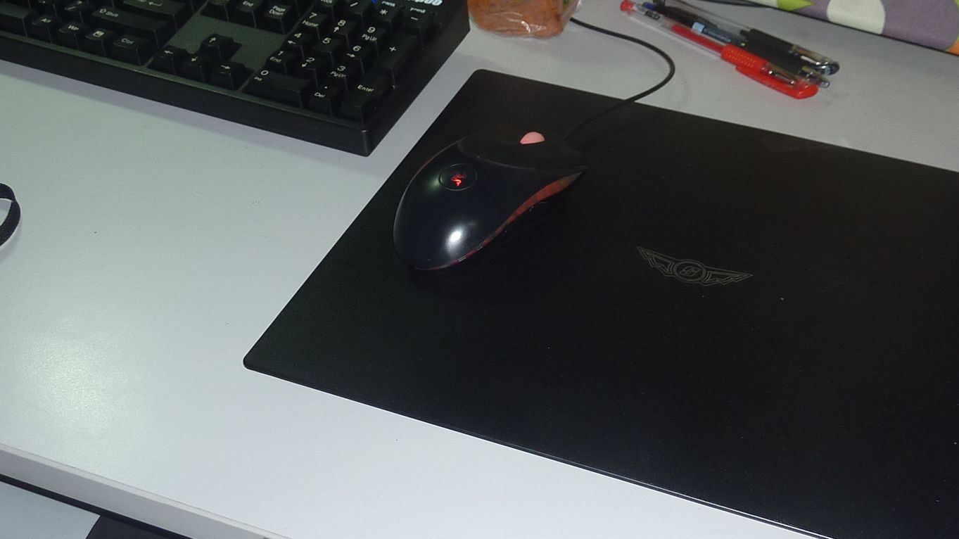 P1000599.jpg