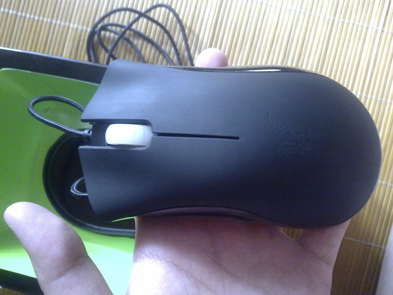 20101022778.jpg