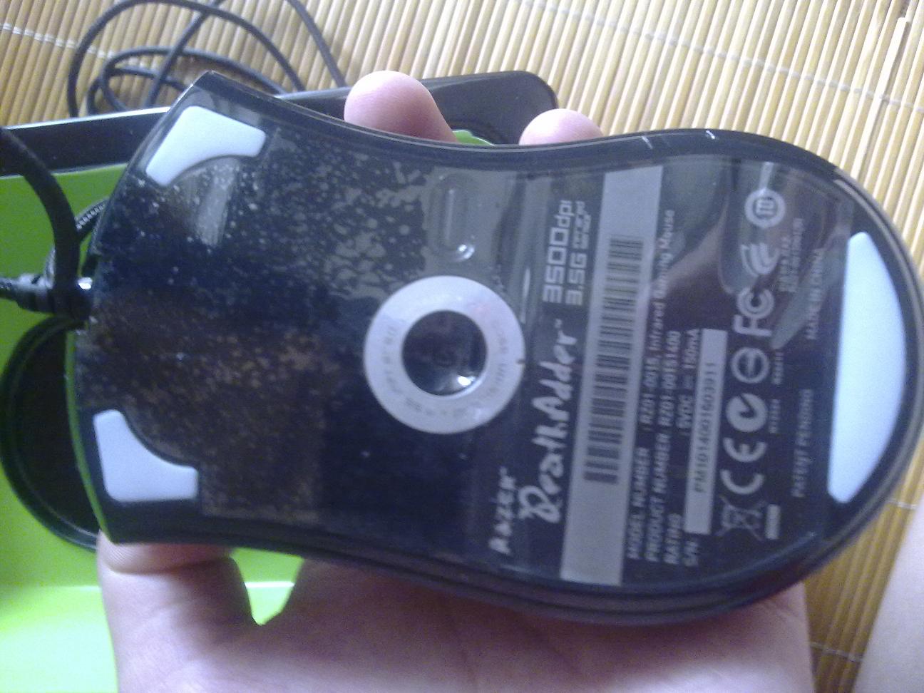 20101022781.jpg