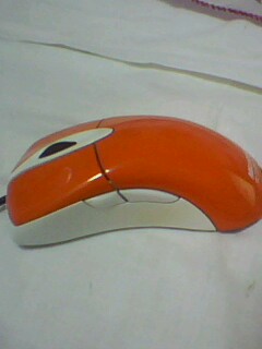 IMG0020A.jpg