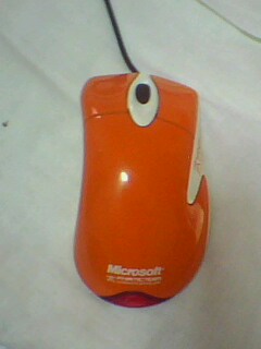 IMG0021A.jpg
