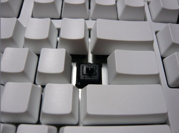 ducky 1087