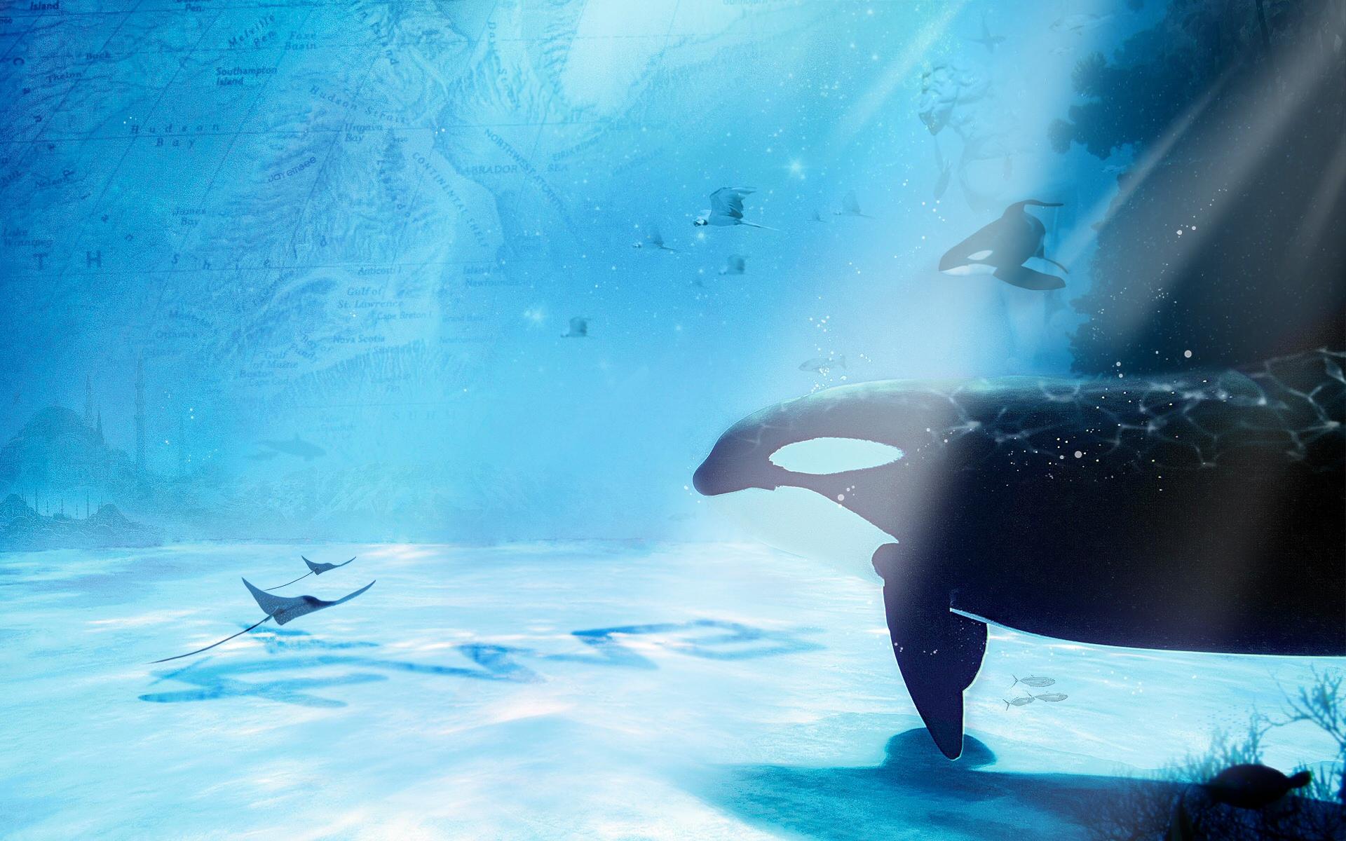 jayemsee_subaquatic_1920x1200_fwa.jpg