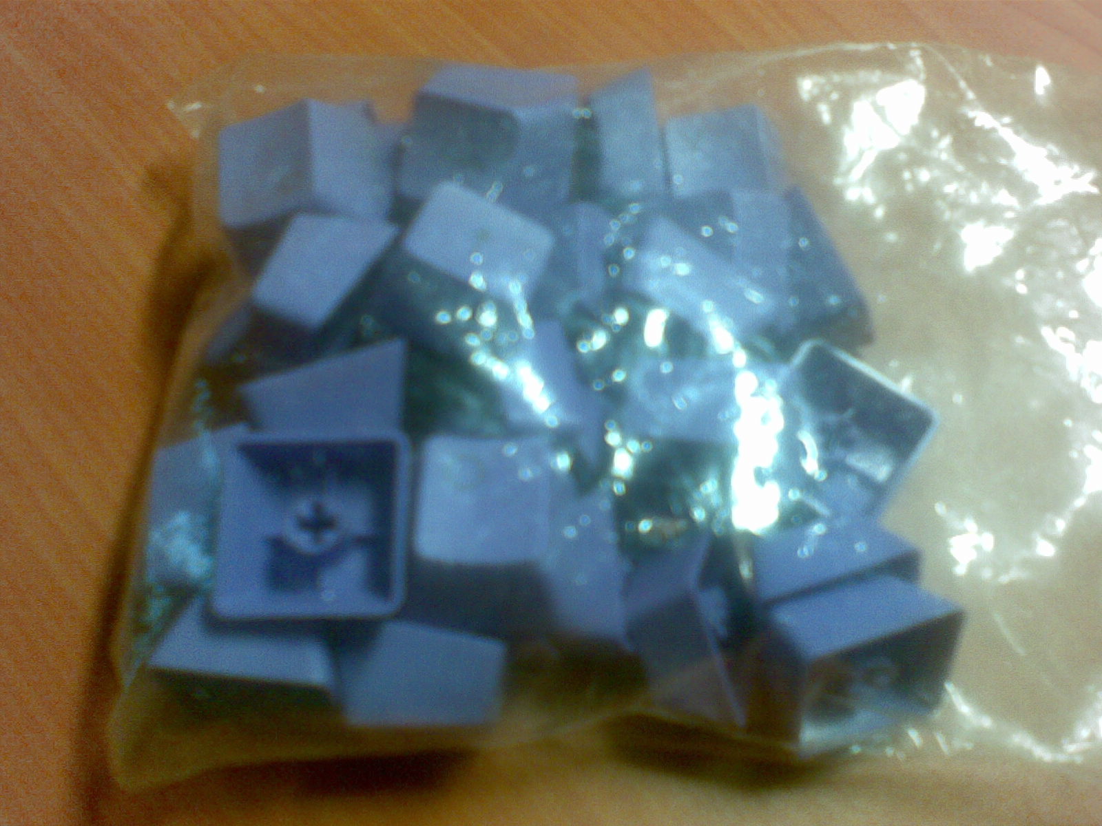 20101024_002.jpg