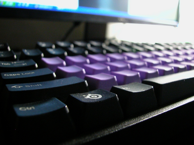 DSCN1247.jpg
