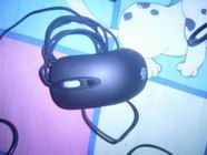 ��PLUM�����е����һ�� ��װKINZU  ΢��HABU ���Ե�