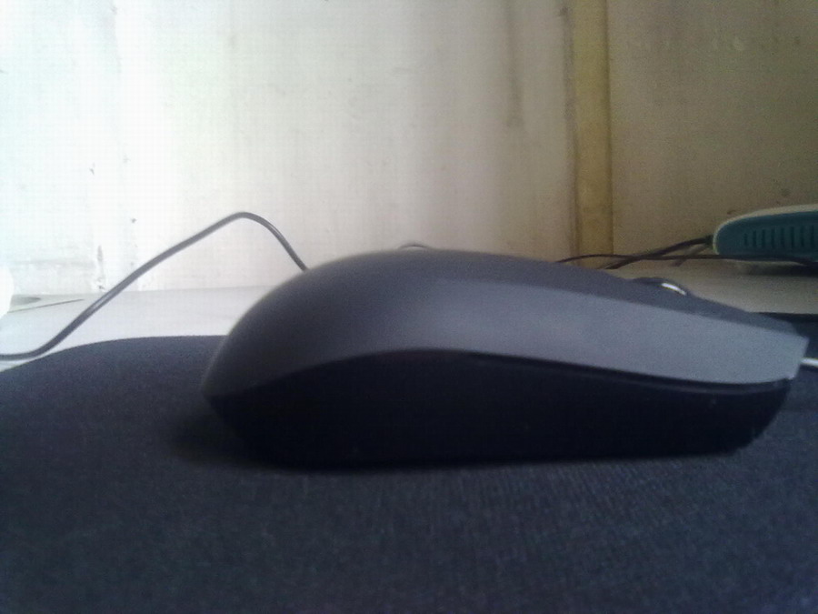 20101026223.jpg