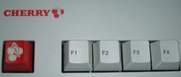 3494 �쵳����