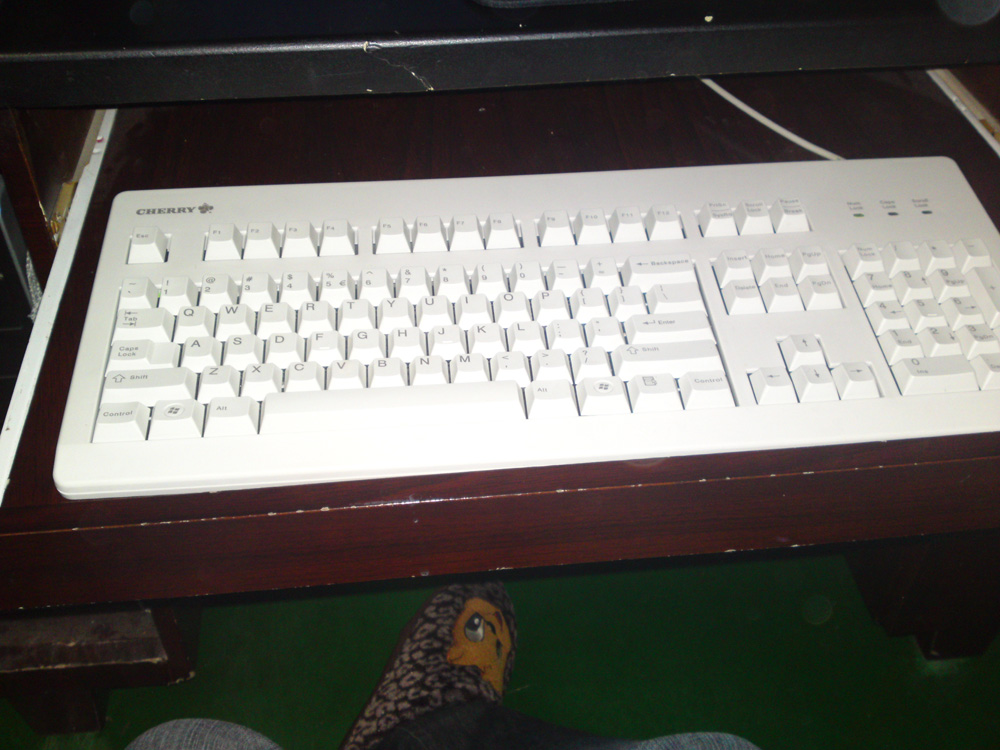 20101028145.jpg