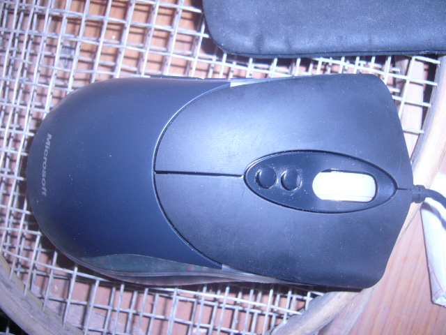 010.jpg