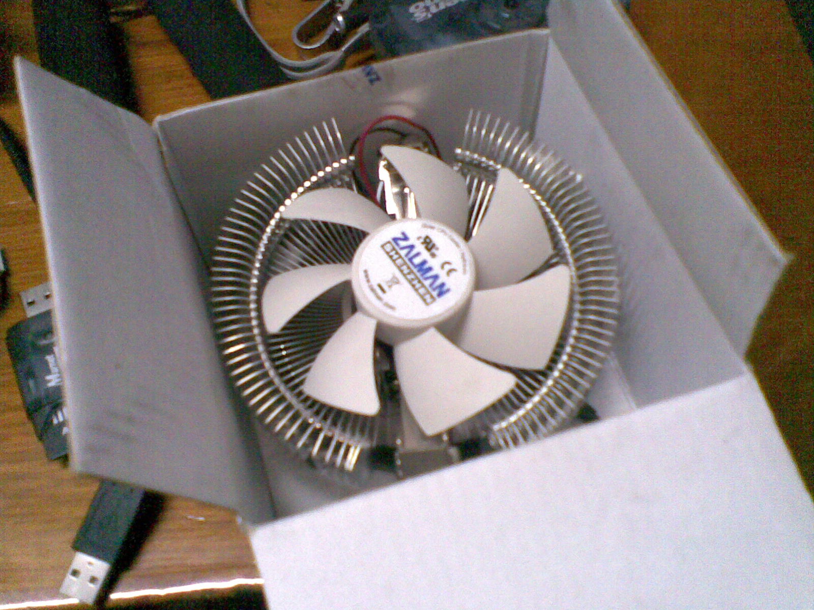 20101029(006).jpg