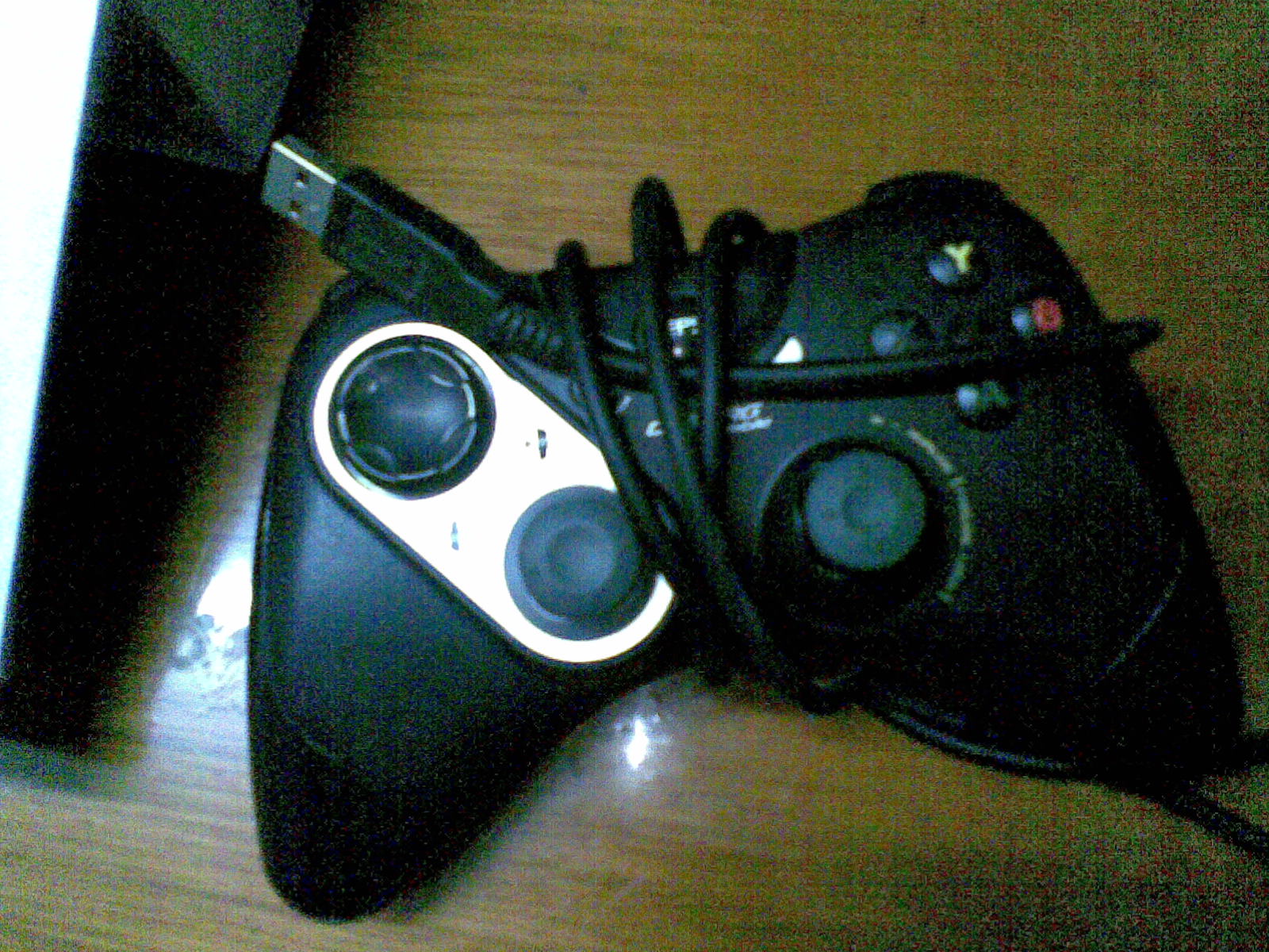 20101029(009).jpg