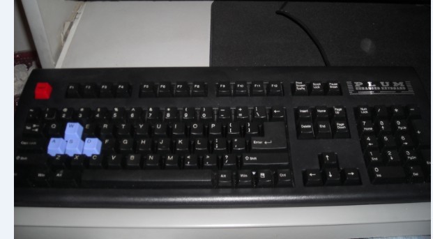 58.jpg