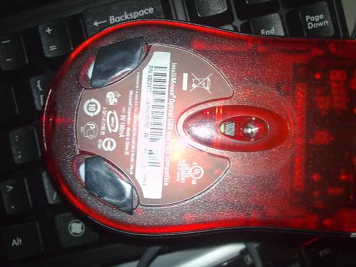 20101030405.jpg