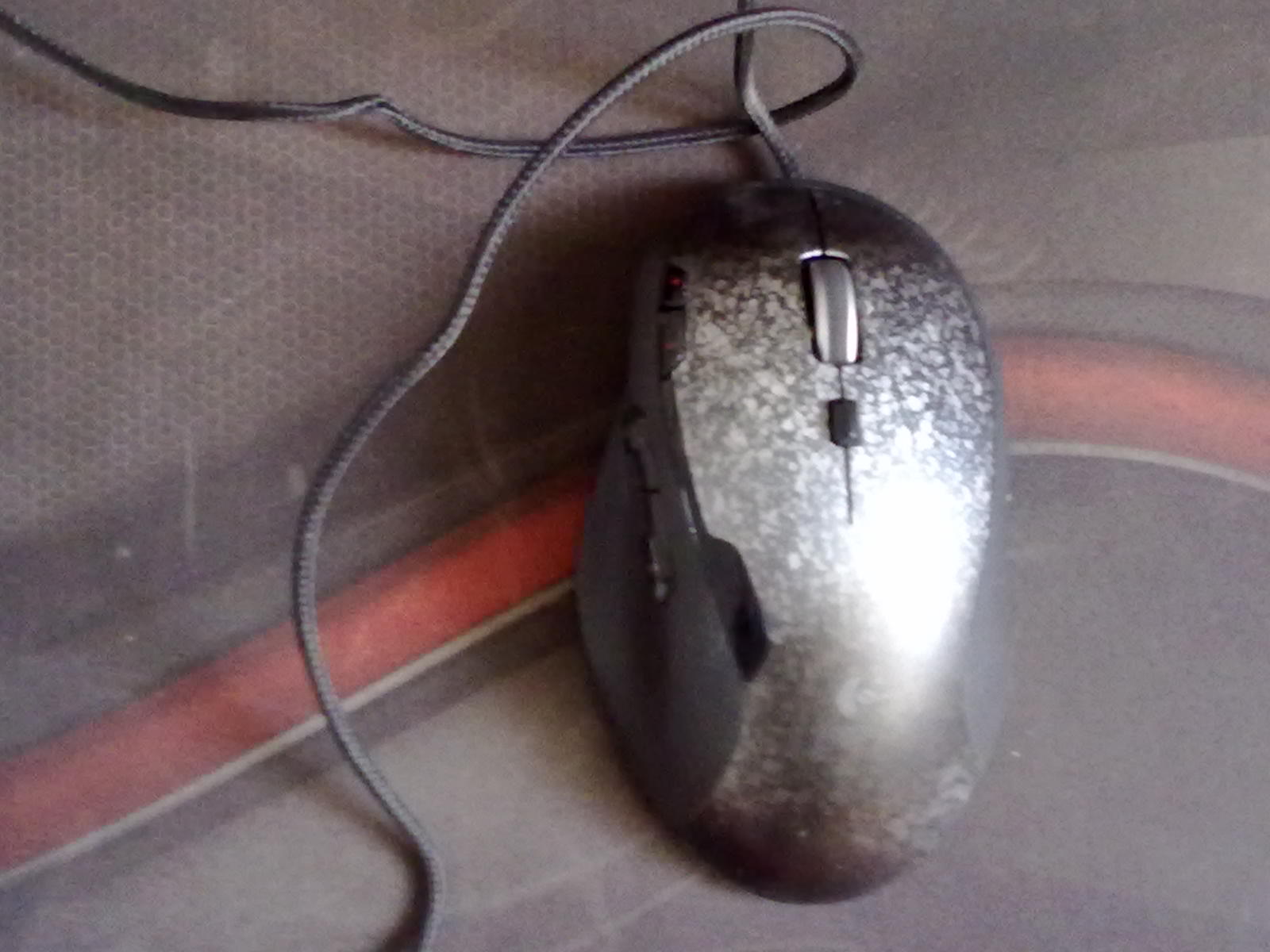 20101031230.jpg