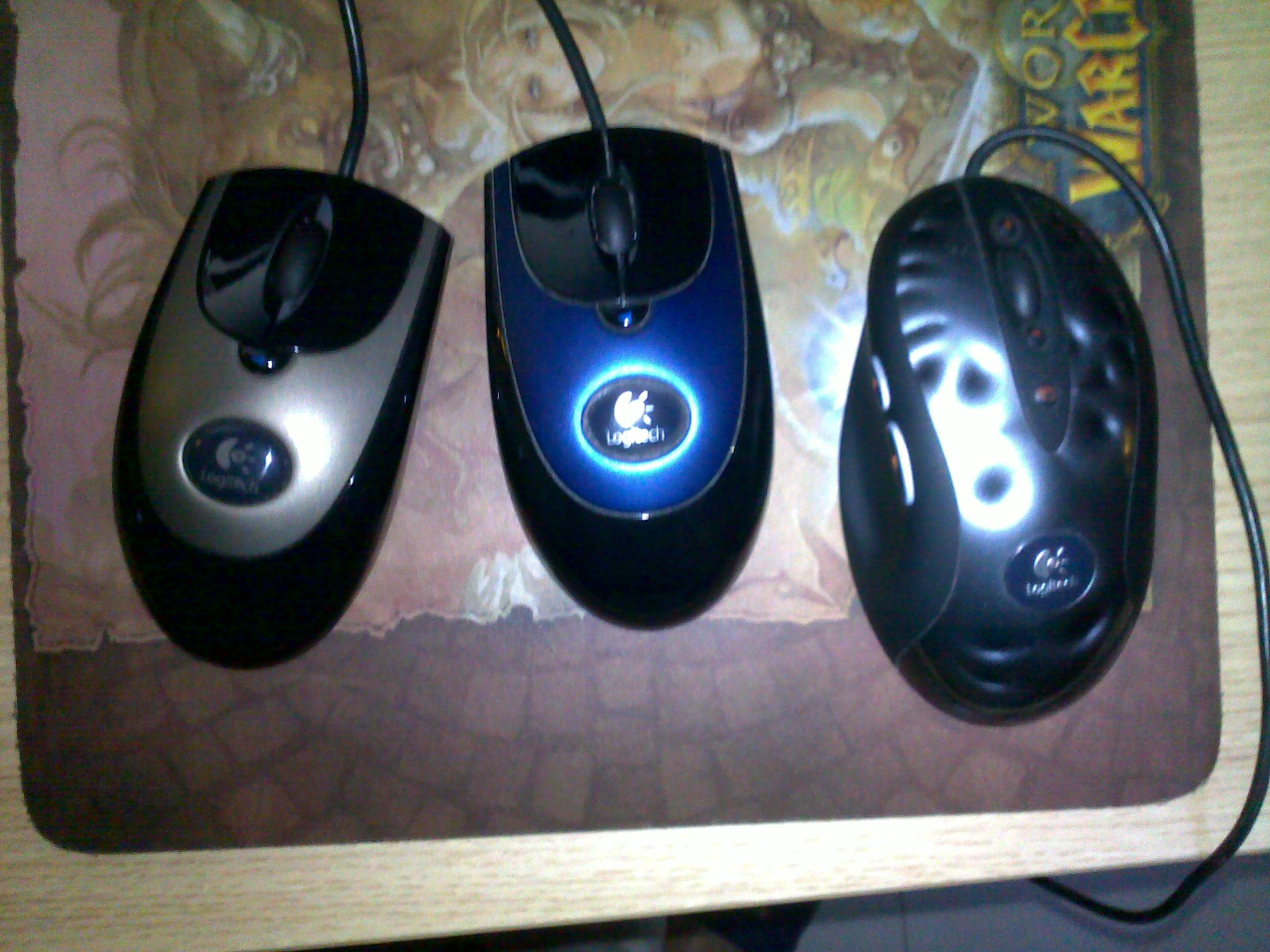 20101102010.jpg