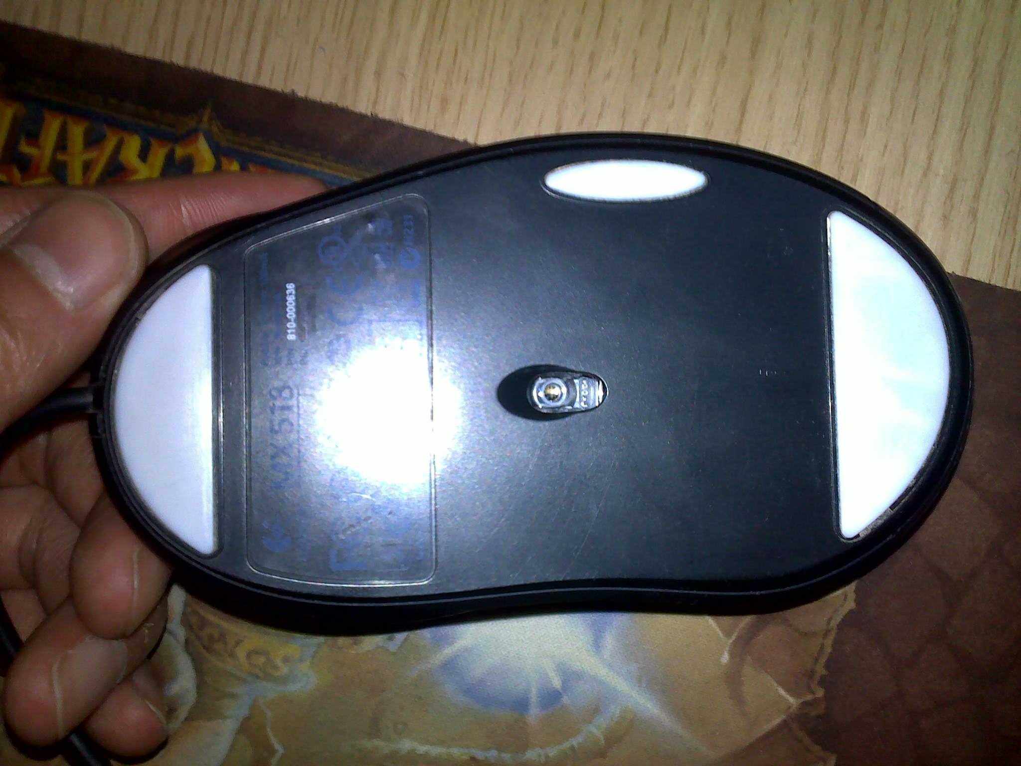 20101102013.jpg