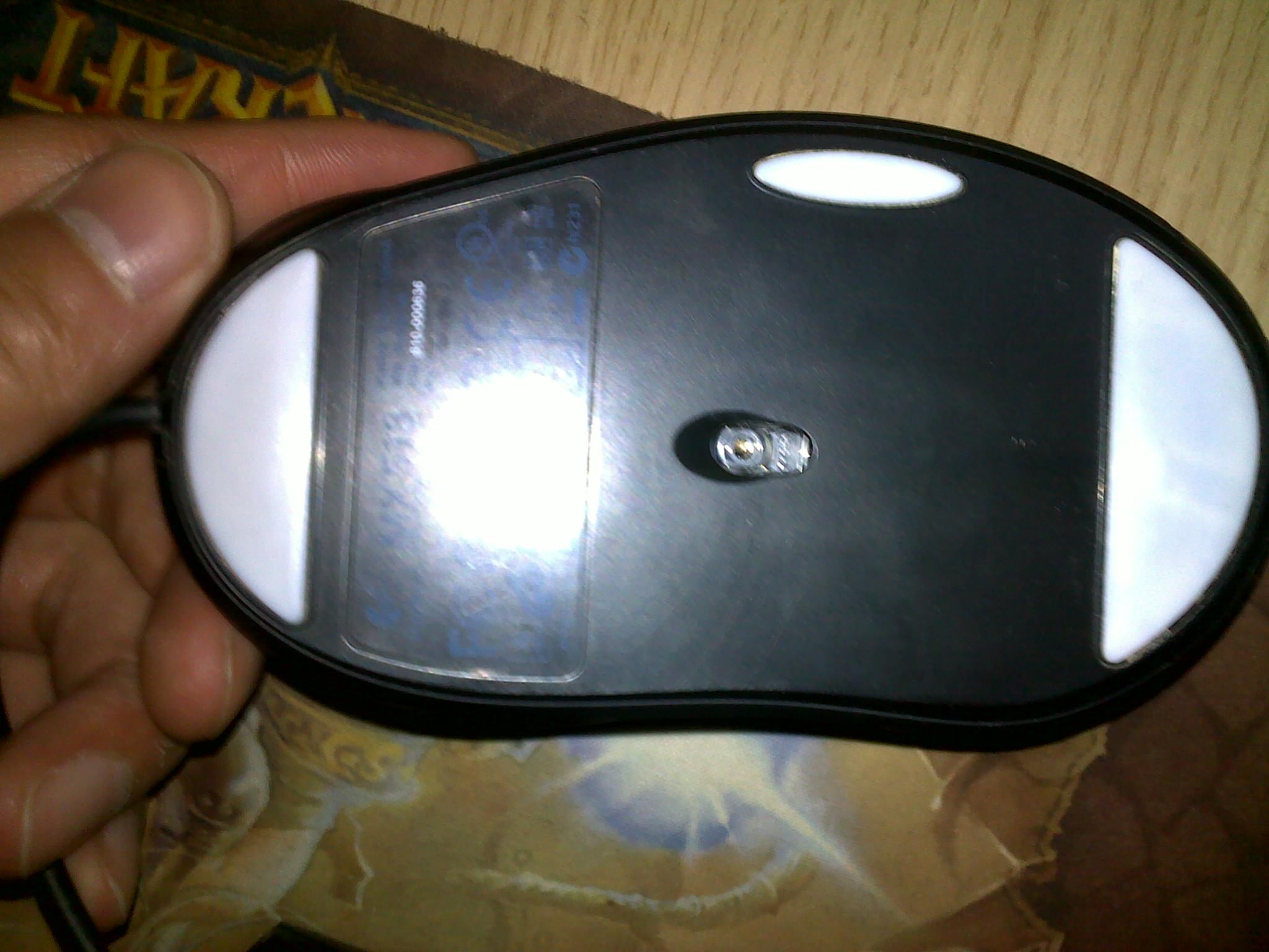 20101102012.jpg