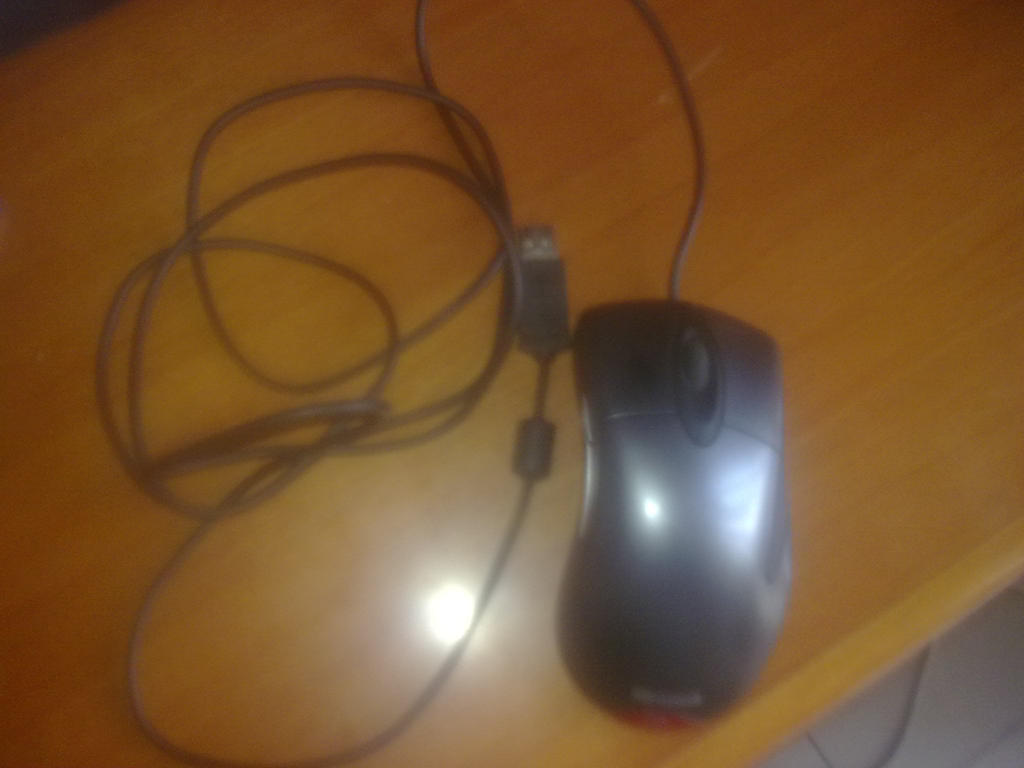 ���˱����������㶫�������а�KINZU,��ICEMAT V2��TYLOOQCK+ ��IE3 FK