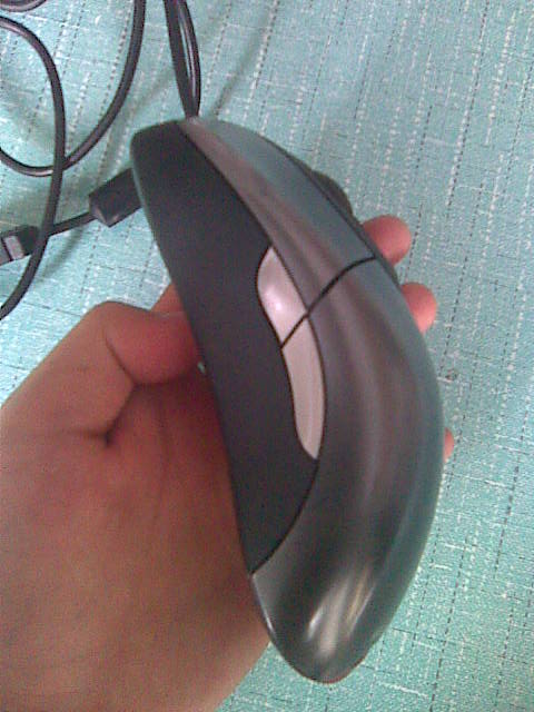 ie3_004.jpg