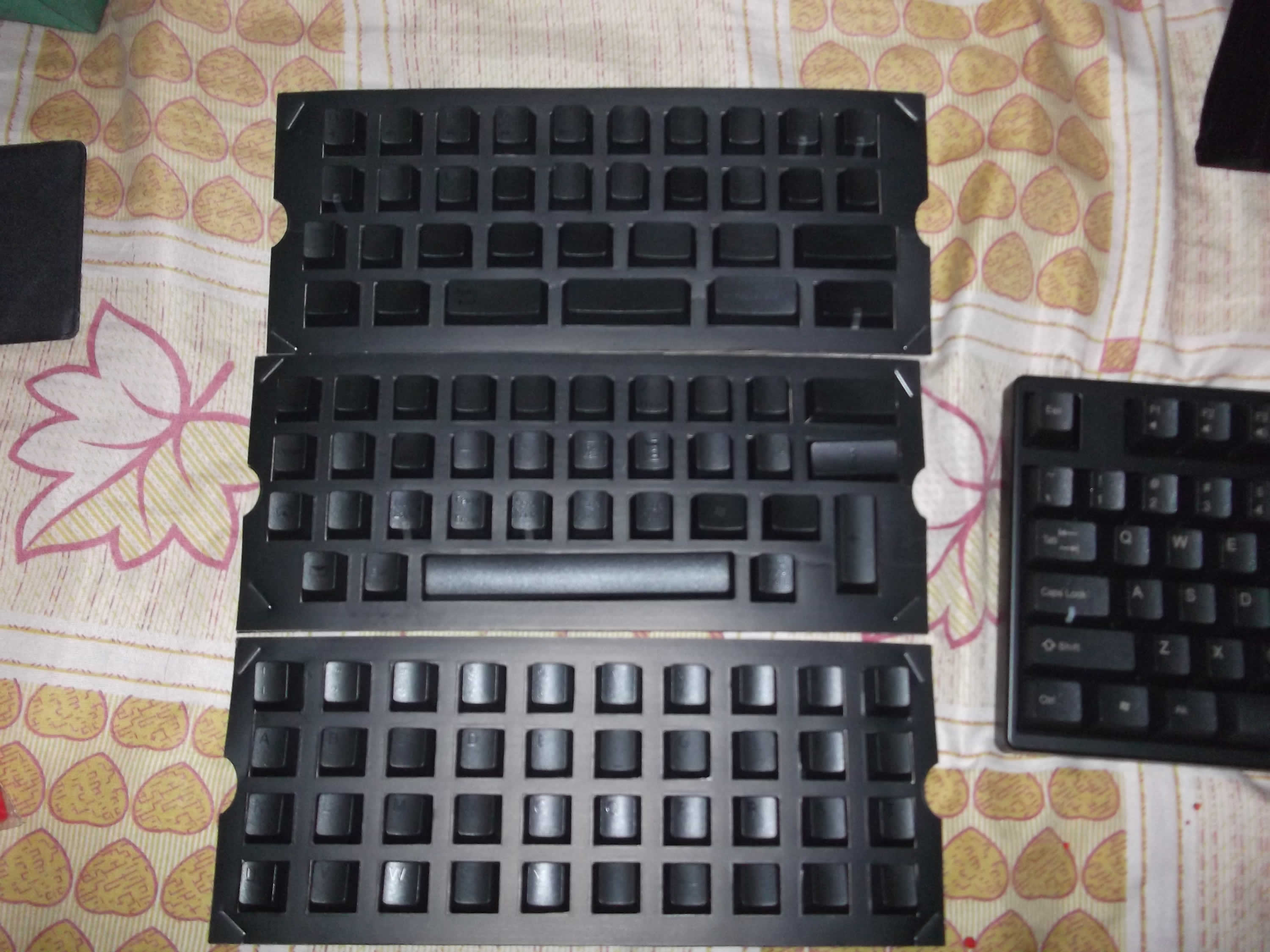 DSCF4048.JPG