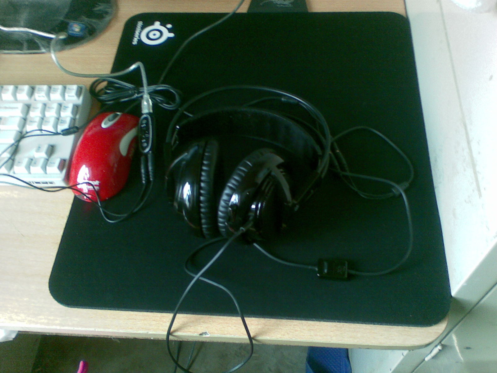 20101108.jpg