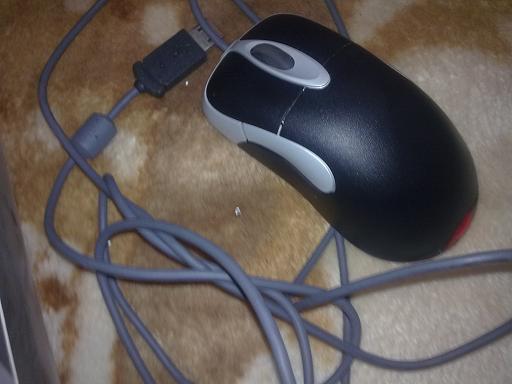 20101109431.jpg