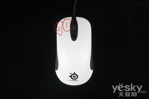 111.JPG