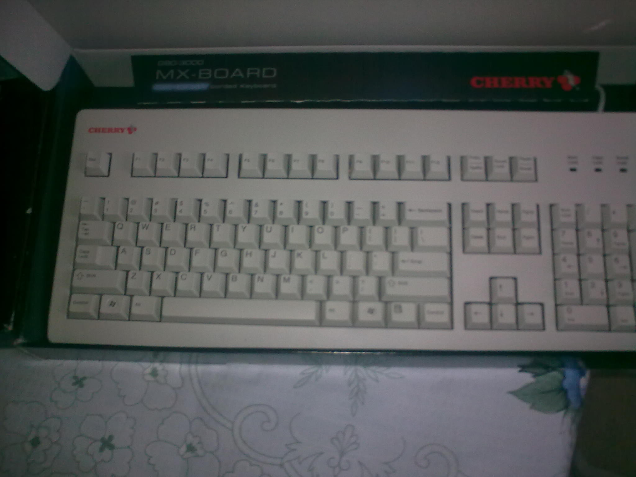20100904_002.jpg