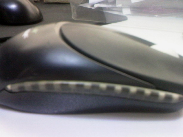 ��Naturall���׽���һֻ��������н�~