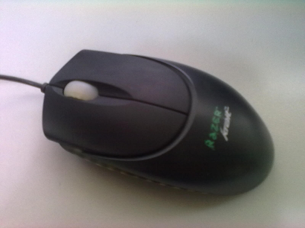 ��Naturall���׽���һֻ��������н�~