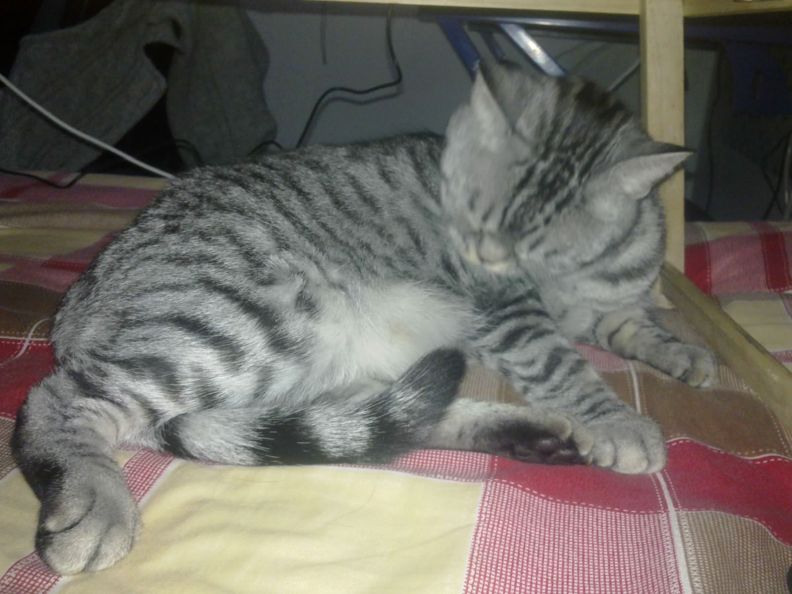 20101111453.jpg