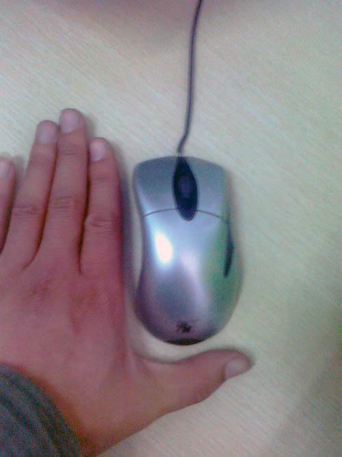 20101111152.jpg
