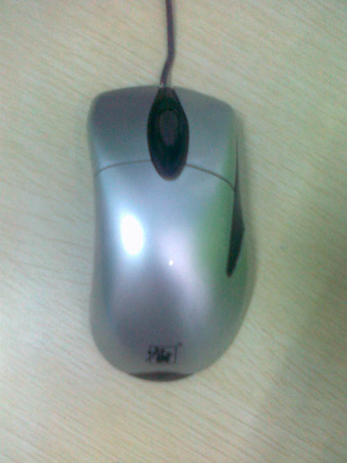 20101111151.jpg