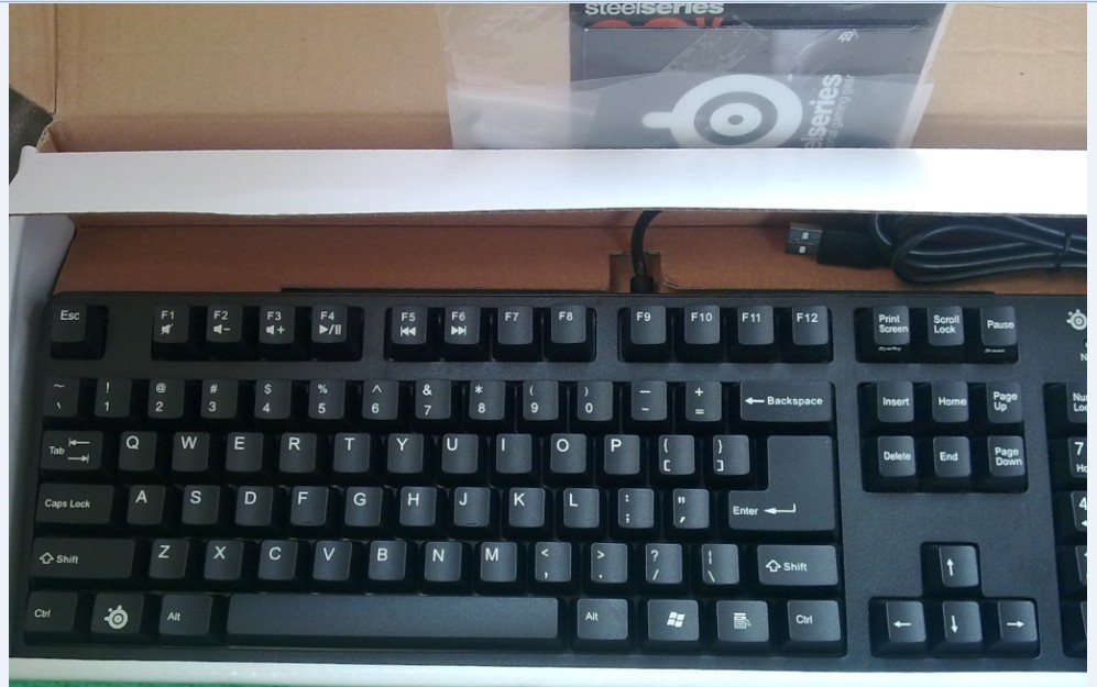 111.jpg