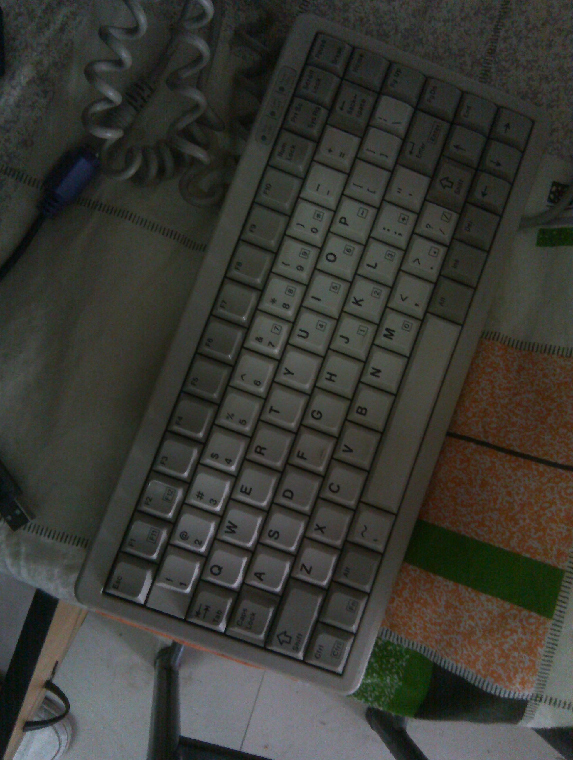 IMAG0030.jpg